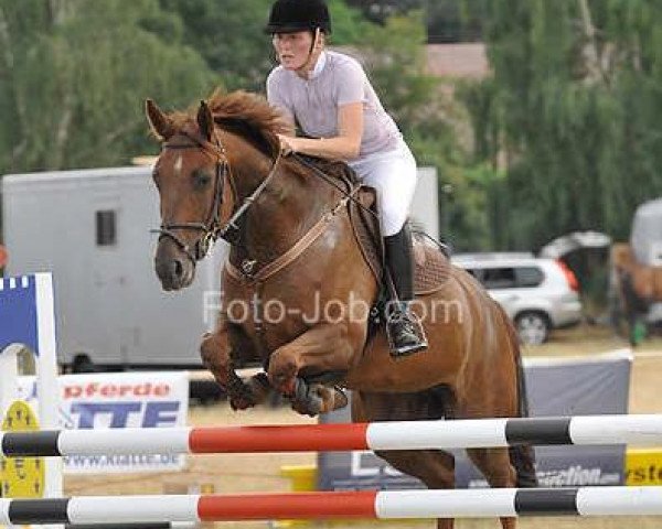 broodmare Serafina 29 (Oldenburg, 2004, from Seidon)