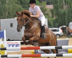 broodmare Serafina 29 (Oldenburg, 2004, from Seidon)