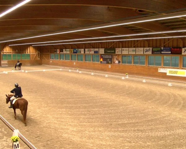 Reitturnier Rüti 2022