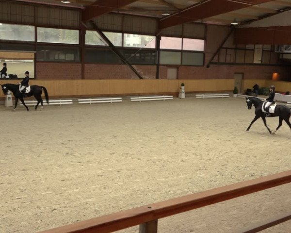 Reitturnier Hamburg-Friedrichshulde/Sylva Kuhrt 2022
