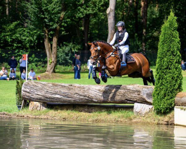 Jumper Frechdachs 182 (Zweibrücker, 2006, from Florentianer)