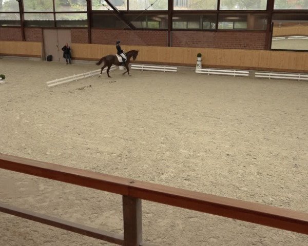 Reitturnier Hamburg-Friedrichshulde/Sylva Kuhrt 2022