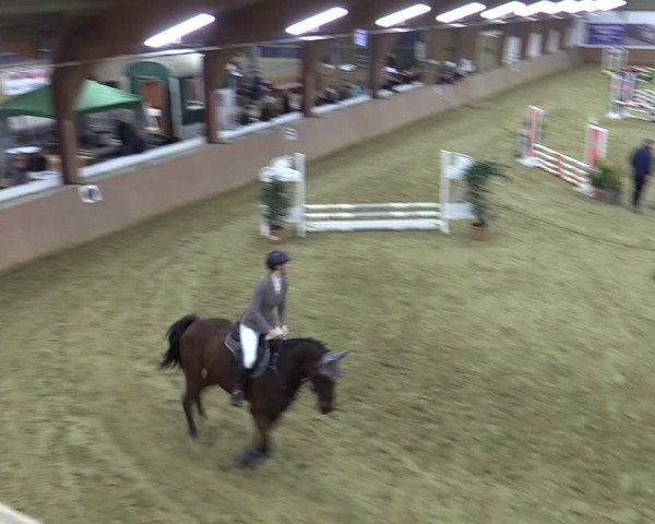 Reitturnier Bad Salzuflen 2022