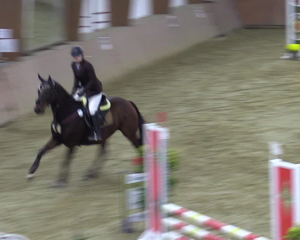 Reitturnier Bad Salzuflen 2022