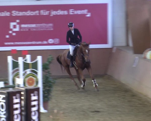 Reitturnier Bad Salzuflen 2022