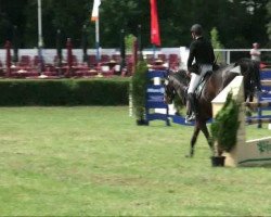 Springpferd Lomitas 23 (Deutsches Sportpferd, 2003, von Liberty Son)
