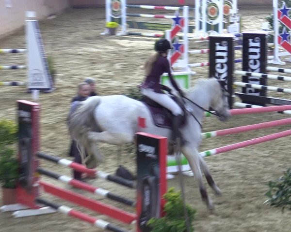 Reitturnier Bad Salzuflen 2022