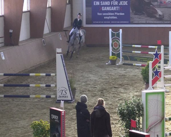 Reitturnier Bad Salzuflen 2022