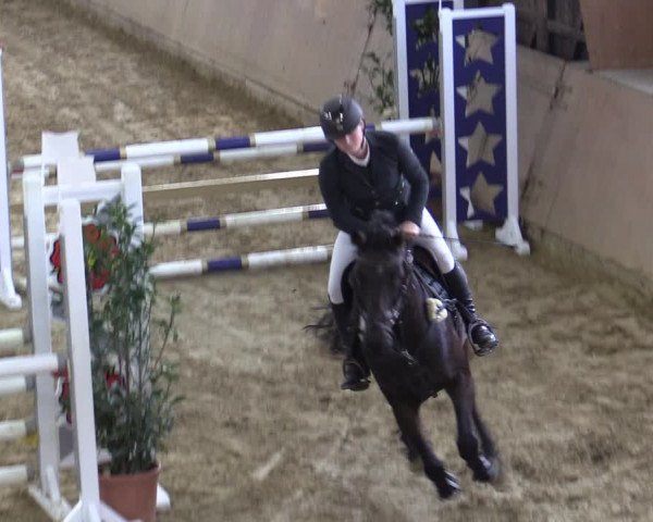 Reitturnier Bad Salzuflen 2022