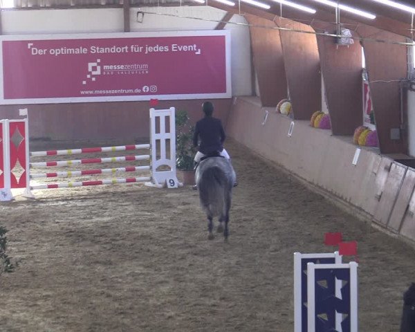 Reitturnier Bad Salzuflen 2022