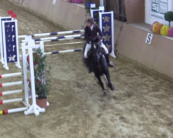 Reitturnier Bad Salzuflen 2022