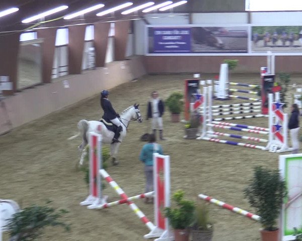 Reitturnier Bad Salzuflen 2022