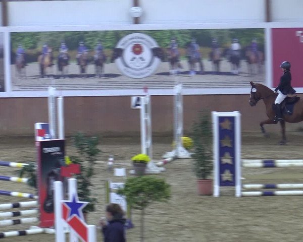 Reitturnier Bad Salzuflen 2022