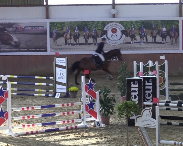 Reitturnier Bad Salzuflen 2022