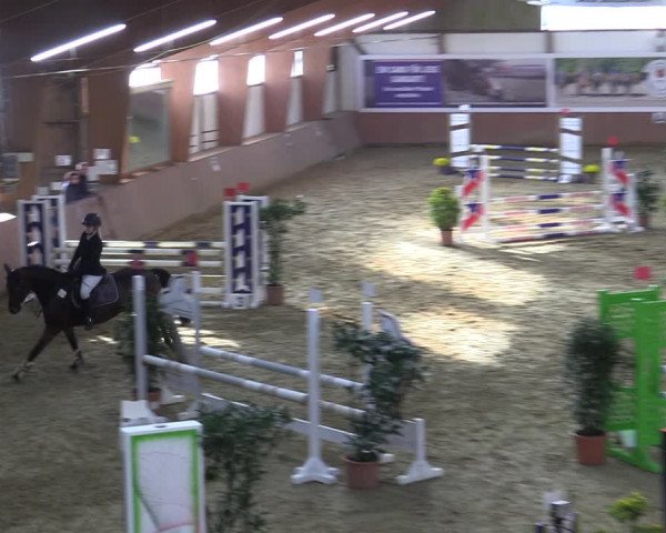 Reitturnier Bad Salzuflen 2022