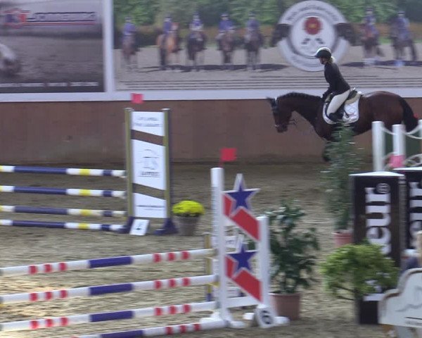 Reitturnier Bad Salzuflen 2022
