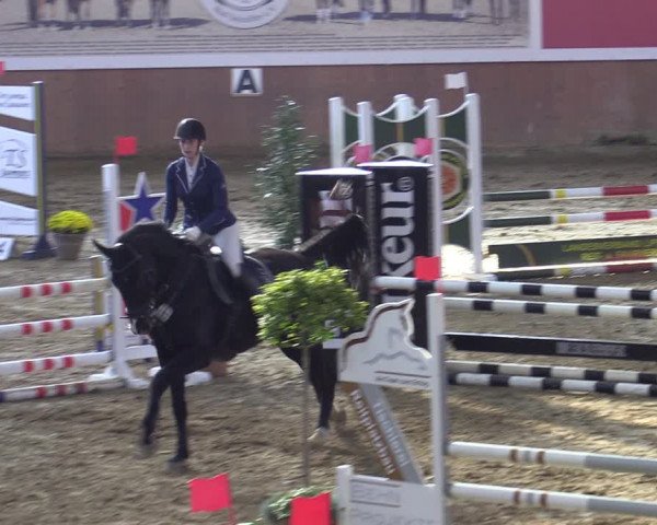 Reitturnier Bad Salzuflen 2022