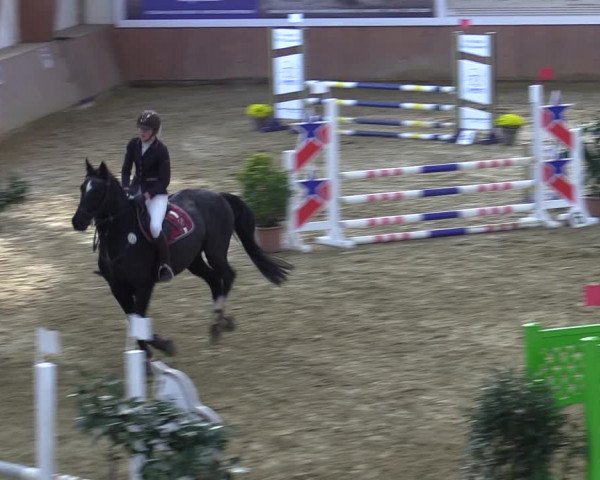 Reitturnier Bad Salzuflen 2022