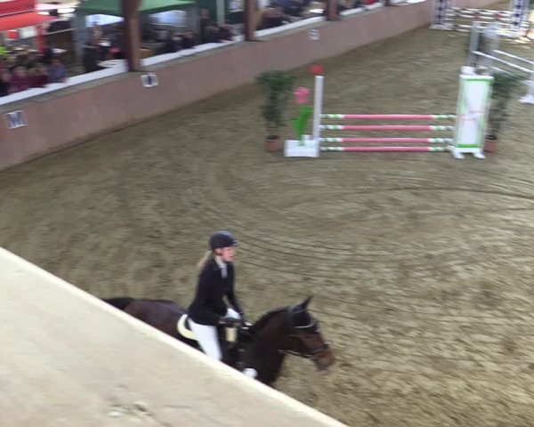 Reitturnier Bad Salzuflen 2022
