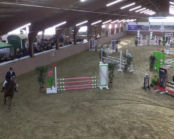 Reitturnier Bad Salzuflen 2022