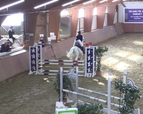 Reitturnier Bad Salzuflen 2022