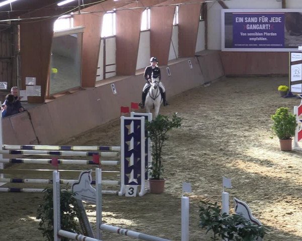 Reitturnier Bad Salzuflen 2022