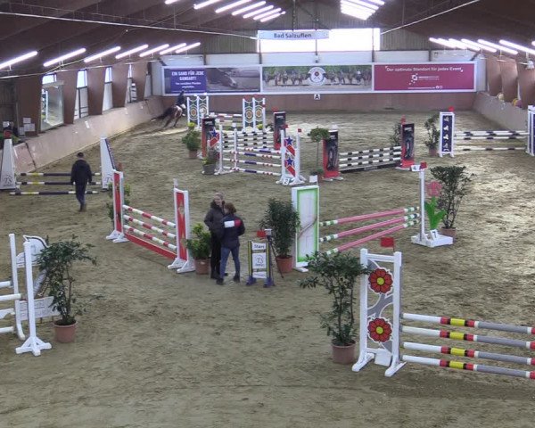 Reitturnier Bad Salzuflen 2022