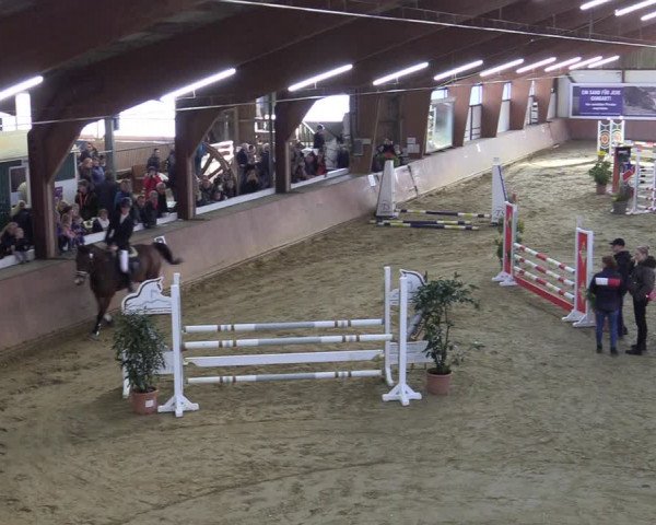 Reitturnier Bad Salzuflen 2022
