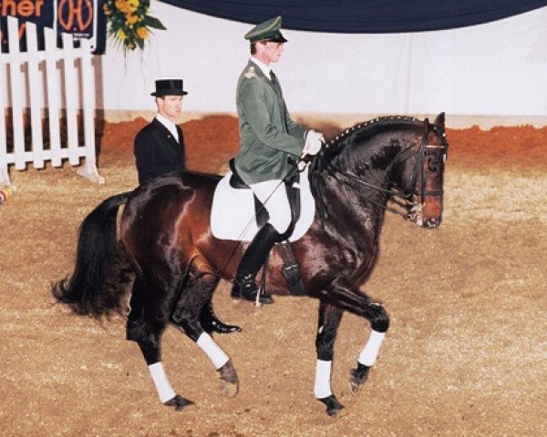 stallion Trend (Hanoverian, 1988, from Traumdeuter DH 482)