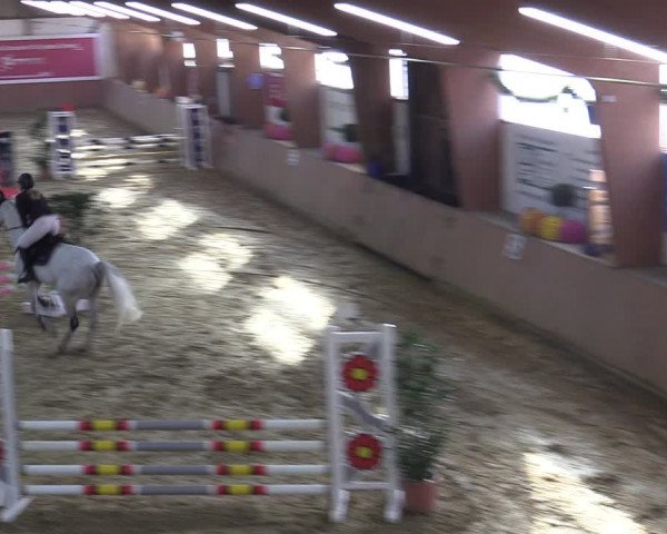 Reitturnier Bad Salzuflen 2022