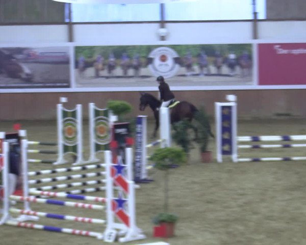Reitturnier Bad Salzuflen 2022