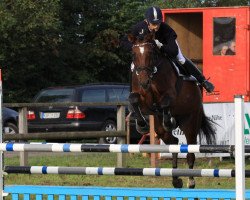 jumper Lillymay (Westphalian, 1999, from Landstreicher)