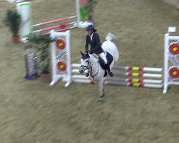 Reitturnier Bad Salzuflen 2022