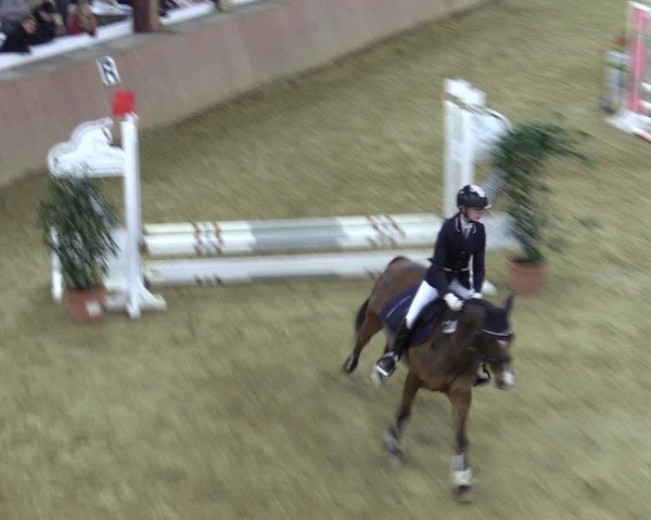 Reitturnier Bad Salzuflen 2022