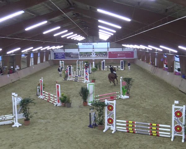 Reitturnier Bad Salzuflen 2022