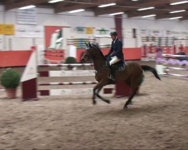 Springpferd Ratina 193 (Bayer, 2002, von Asti Spumante 7)