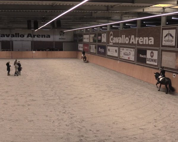 Reitturnier Güstrow/Cavallo Arena 2022