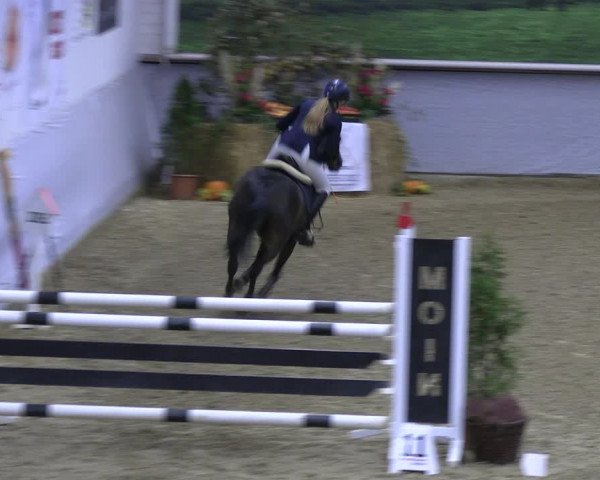 Legdener Ponymeeting 2022