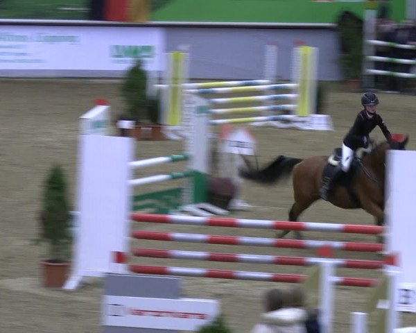 Legdener Ponymeeting 2022