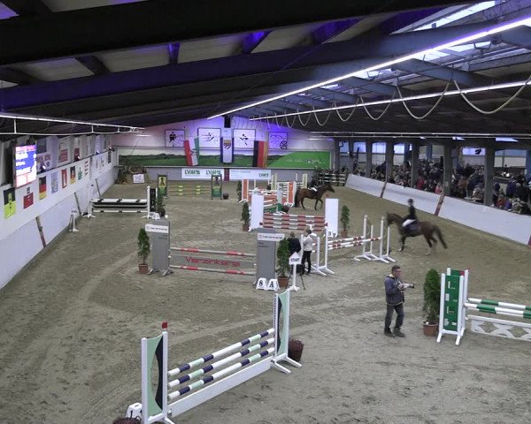 Legdener Ponymeeting 2022