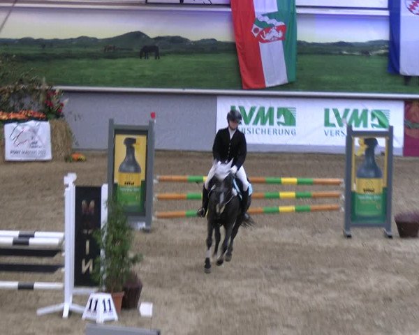 Legdener Ponymeeting 2022