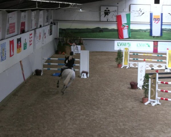 Legdener Ponymeeting 2022