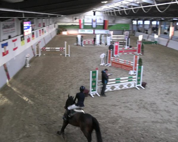Legdener Ponymeeting 2022