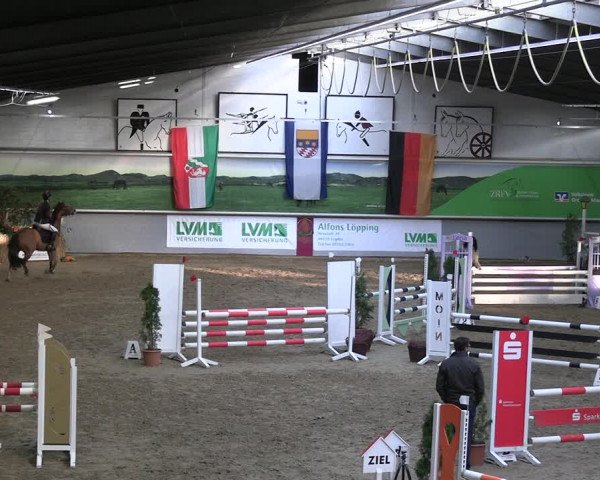 Legdener Ponymeeting 2022