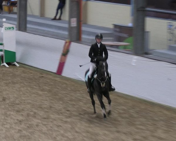 Legdener Ponymeeting 2022