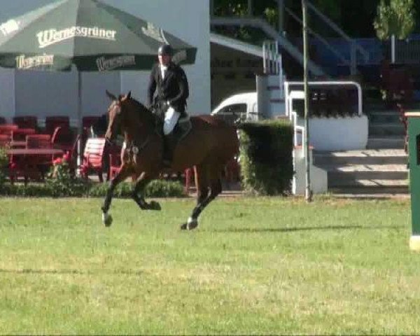 broodmare Laila 362 (German Warmblood, 2006, from Ludwig von Bayern 168 FIN)