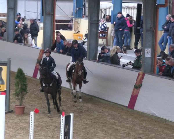 Legdener Ponymeeting 2022