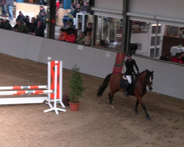 Legdener Ponymeeting 2022