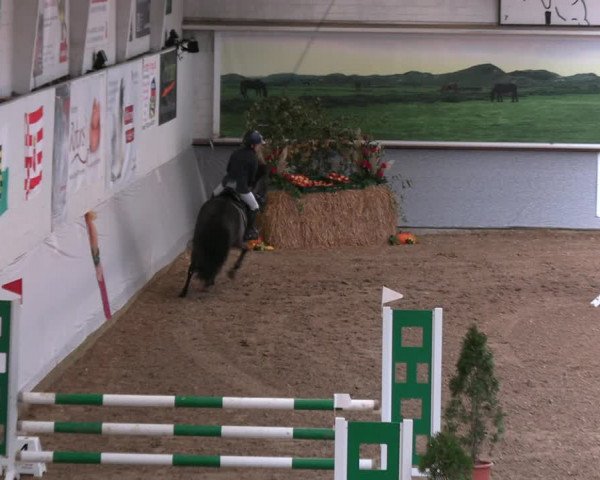 Legdener Ponymeeting 2022
