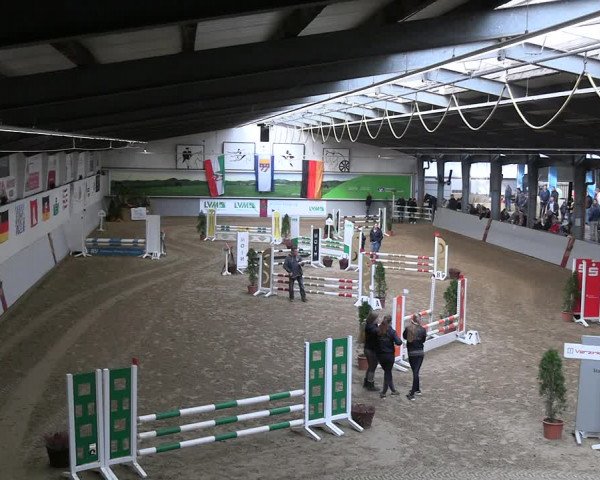 Legdener Ponymeeting 2022